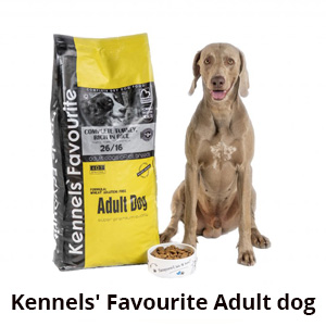 Kennels Favourite Adult dog